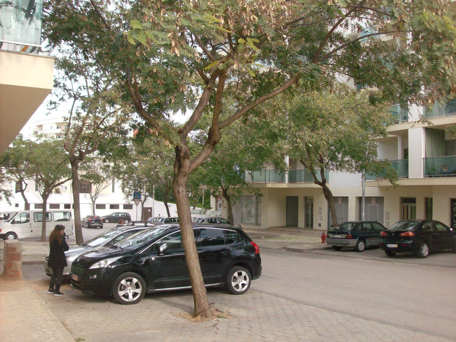 Appartement Pinheiro ปอร์ติเมา ภายนอก รูปภาพ